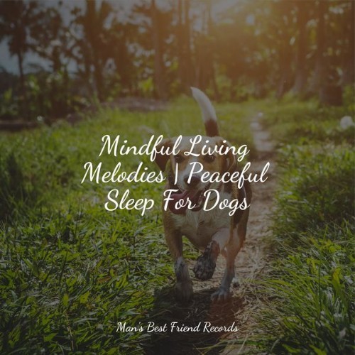 Music for Pets Library - Mindful Living Melodies  Peaceful Sleep For Dogs - 2022