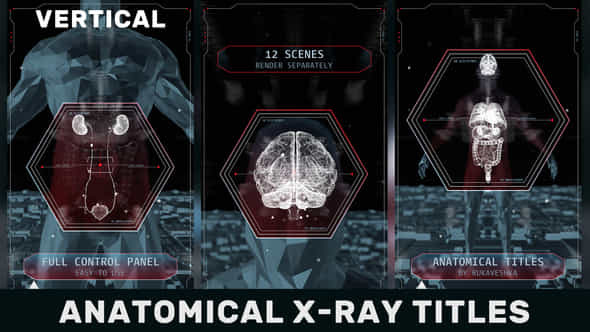 Anatomical X-Ray Titles - VideoHive 42887575