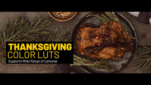 Thanksgiving LUTs - VideoHive 38463829