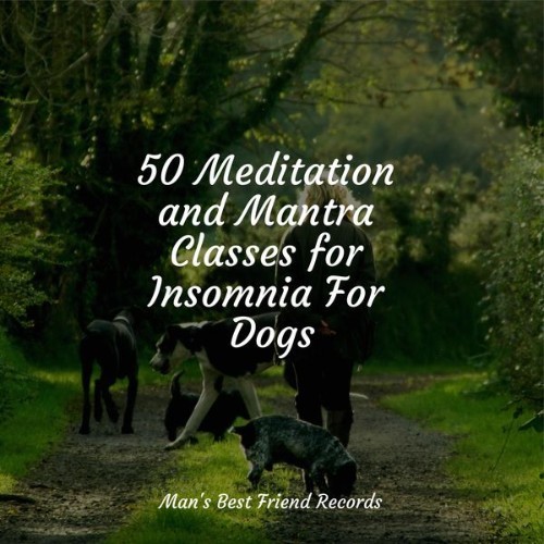 Pet Care Club - 50 Meditation and Mantra Classes for Insomnia For Dogs - 2022