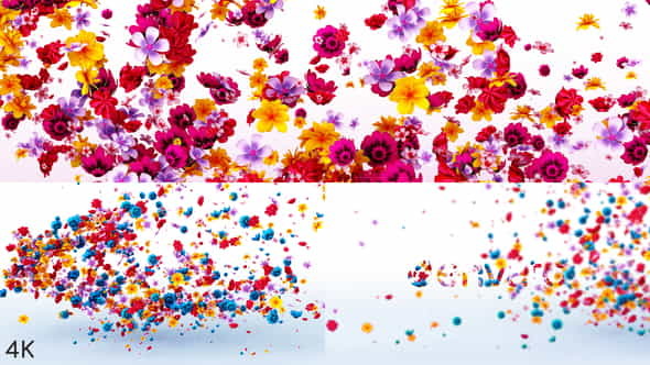 Flowers Logo Reveal - VideoHive 23972271