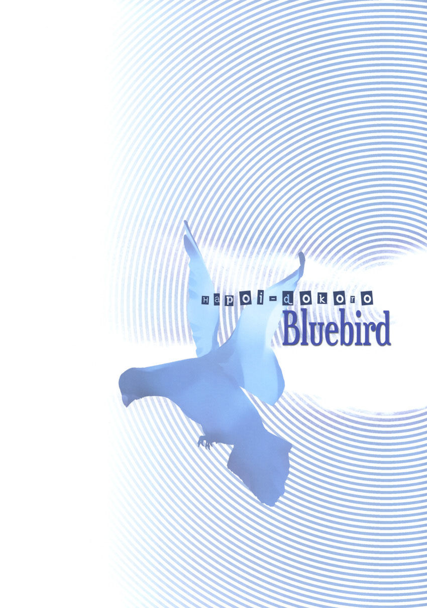 Bluebird - 28