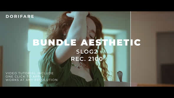 Bundle Luts Aesthetic - VideoHive 43938223