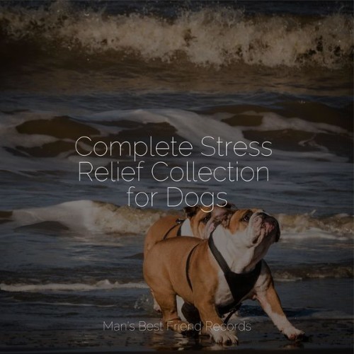 Calm Doggy - Complete Stress Relief Collection for Dogs - 2022