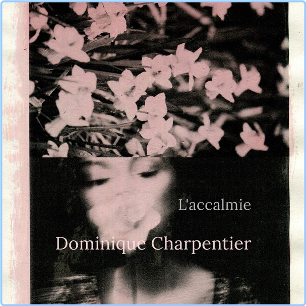 Dominique Charpentier L'accalmie (2024) 24Bit 44 1kHz [FLAC] KO4I2kgA_o