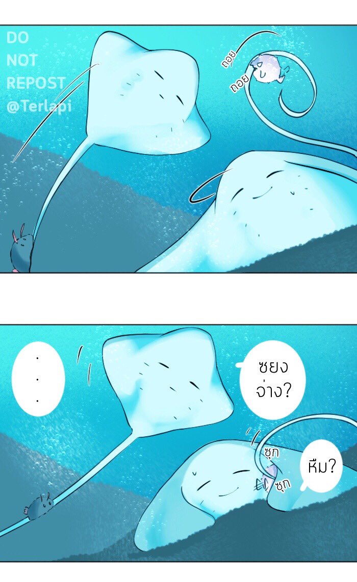 U6iQuiOv_o.jpg