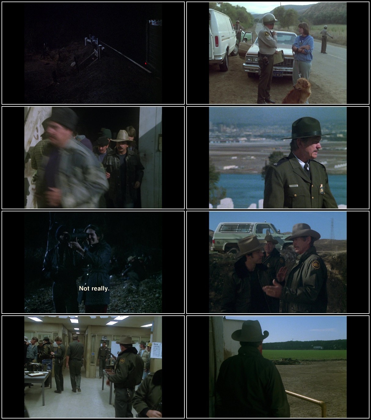 Borderline (1980) 1080p PCOK WEB-DL AAC 2 0 H 264-PiRaTeS 8SjmpohY_o