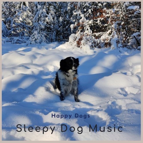 Sleepy Dog Music - Happy Dogs - 2022