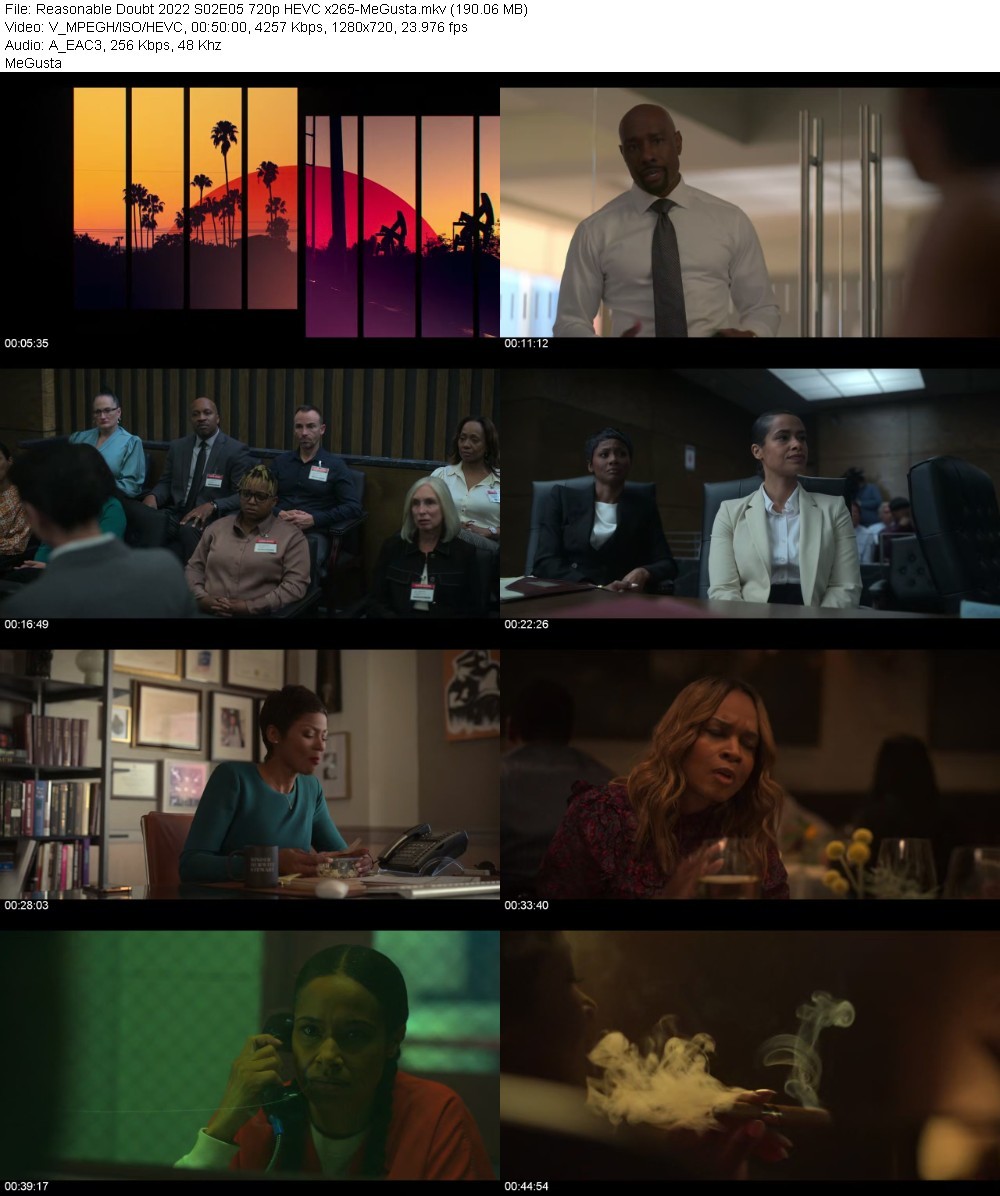 Reasonable Doubt 2022 S02E05 720p HEVC x265-MeGusta