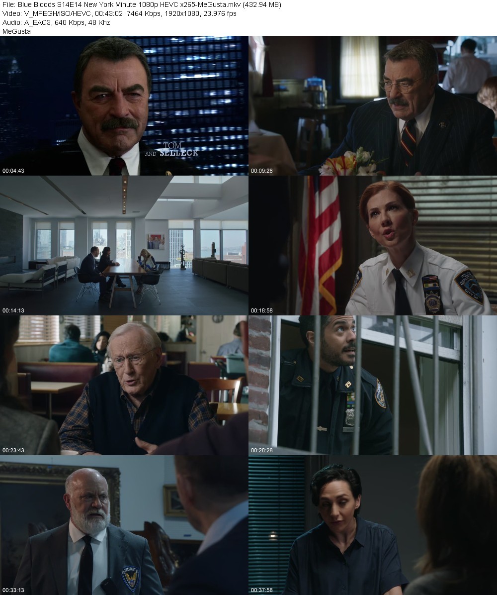 Blue Bloods S14E14 New York Minute 1080p HEVC x265-MeGusta