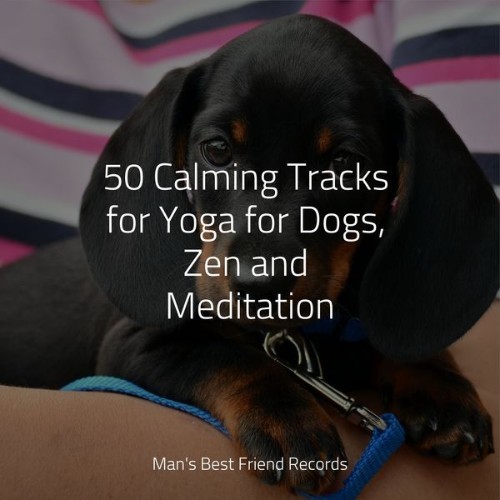 Music For Dogs - 50 Calming Tracks for Yoga for Dogs, Zen and Meditation - 2022