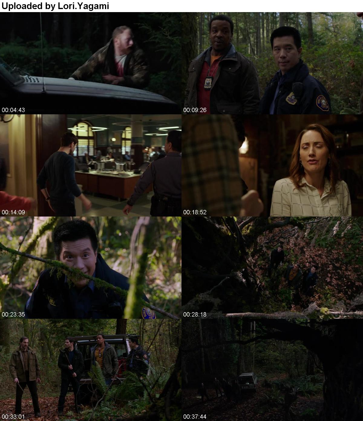 Grimm S06E09 BDRip x264-DEMAND