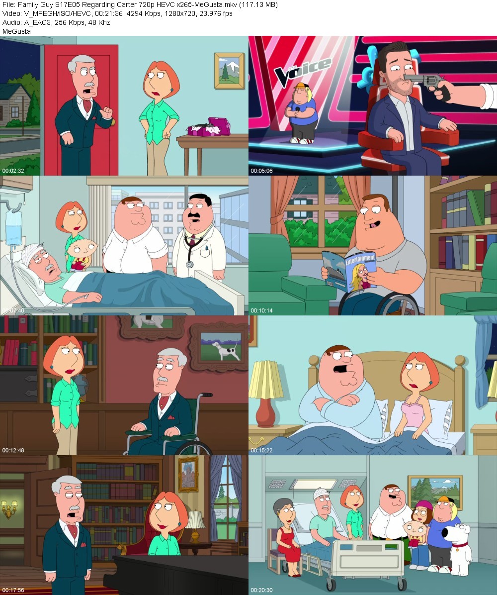 Family Guy S17E05 Regarding Carter 720p HEVC x265-MeGusta