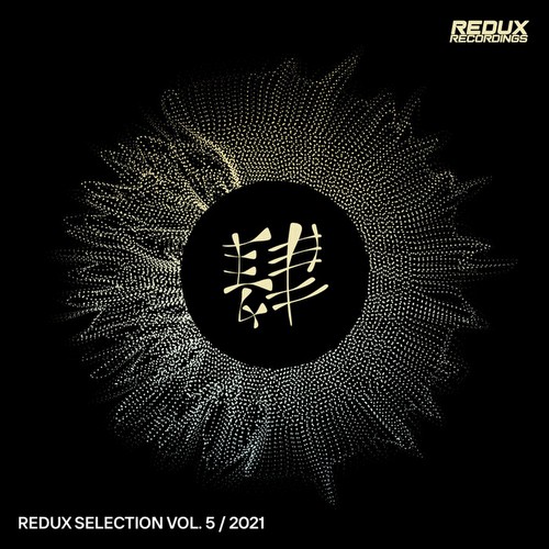 VA - Redux Selection Vol 5 / 2021 (2021)