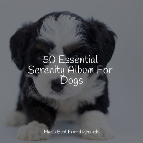 Music For Dogs - 50 Essential Serenity Album For Dogs - 2022