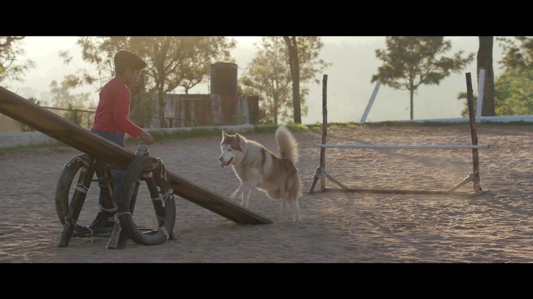 Oh My Dog (2022) Malayalam 1080p WEB-DL AVC DD5 1 ESub-BWT Exclusive Oh My Dog (2022) Malayalam 1080p WEB-DL AVC DD5 1 ESub-BWT Exclusive
