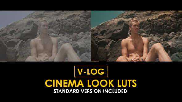 Vlog Cinema Look And Standard Color Luts - VideoHive 51378341