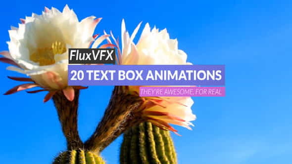 3D Text Box Animation Pack - VideoHive 9435784
