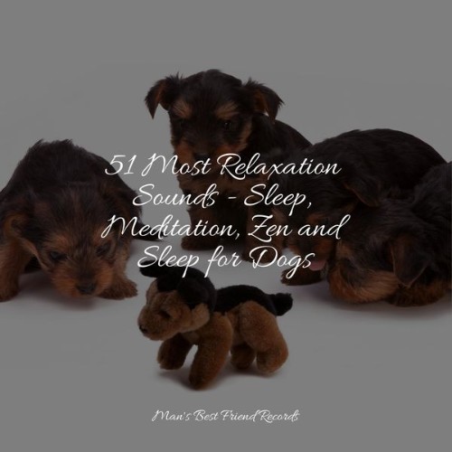 Dog Music - 51 Most Relaxation Sounds - Sleep, Meditation, Zen and Sleep for Dogs - 2022