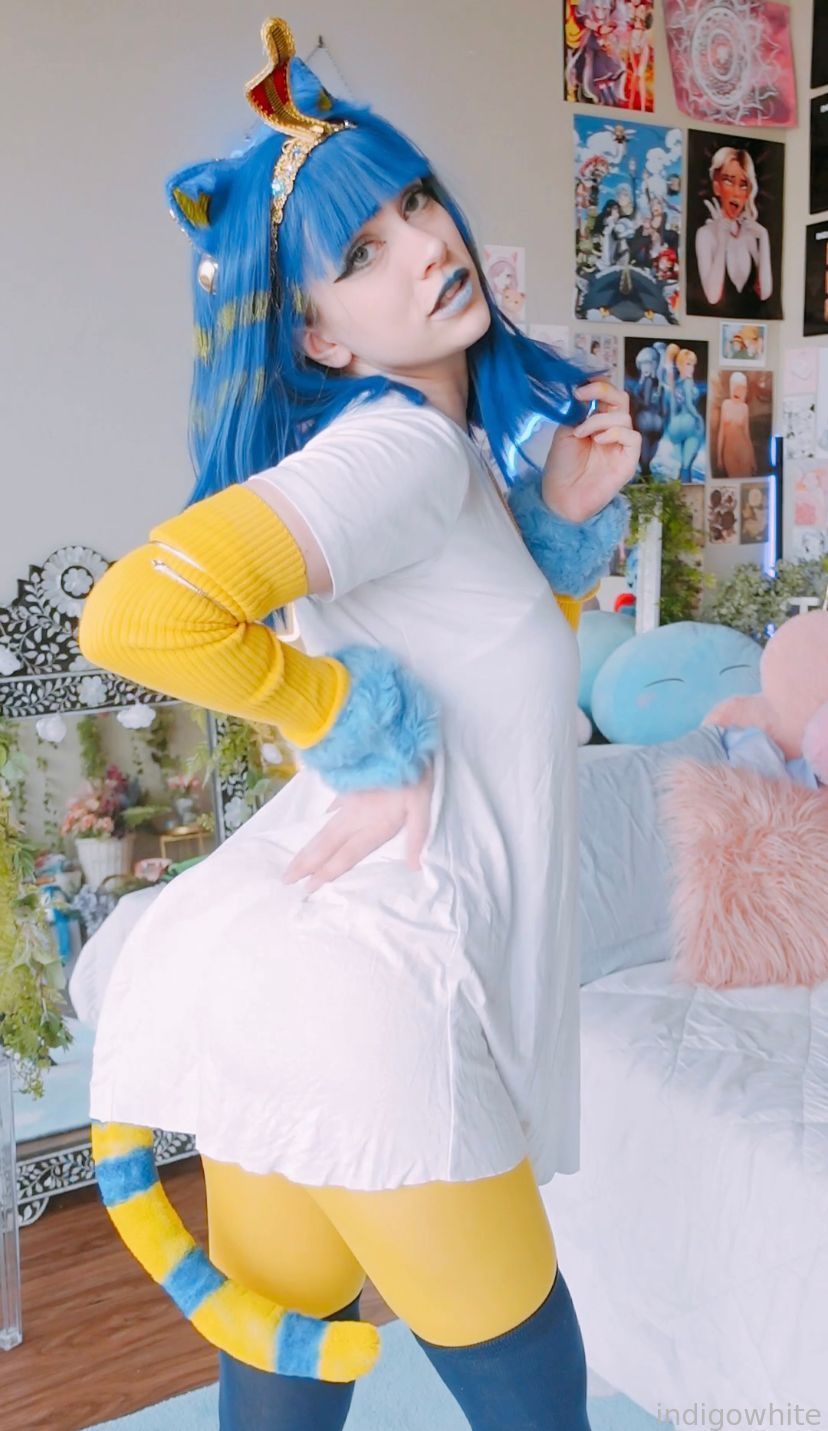 Indigo White - Ankha