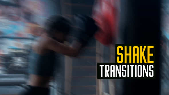 Shake Transitions - VideoHive 39785595