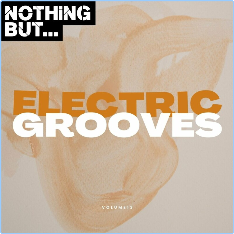 Various Artists - Nothing But Electric Grooves Vol 13 (2024) [320 Kbps] CtevrtwI_o