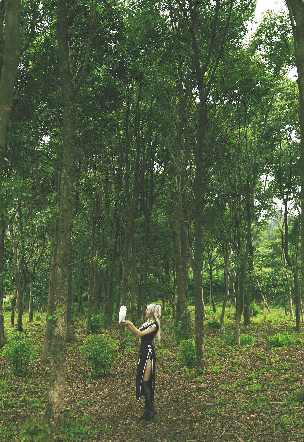 Akhee - Mabinogi Nao