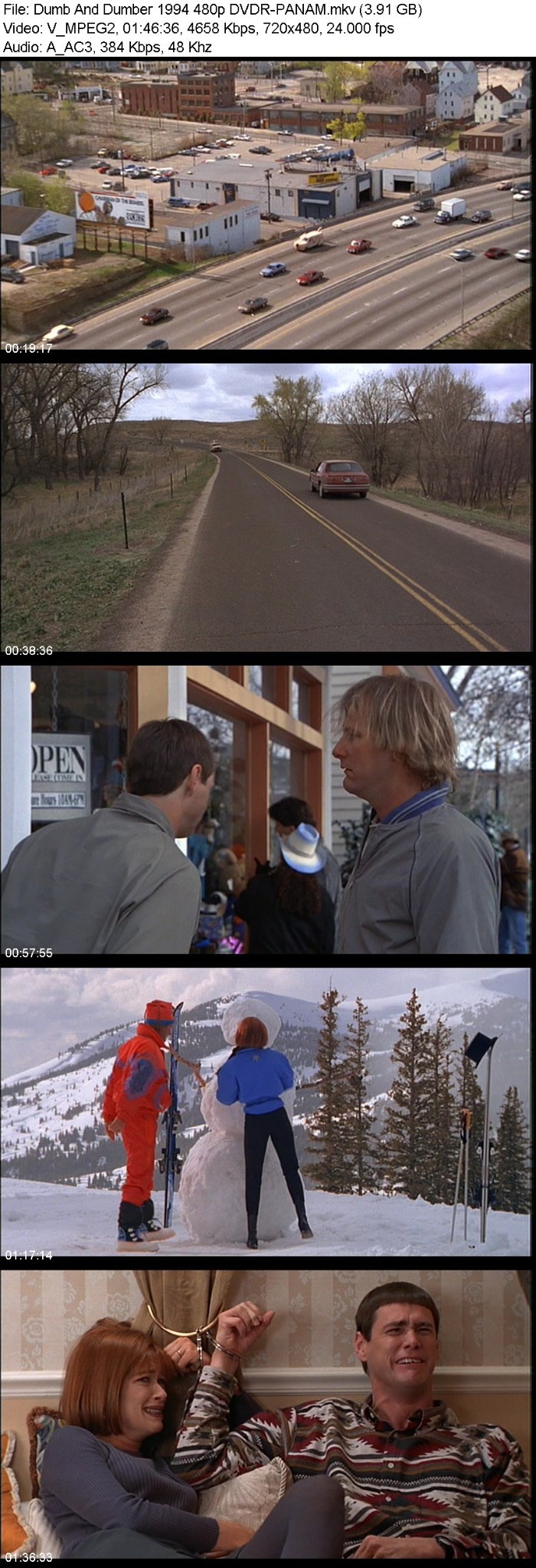 Dumb And Dumber (1994) 480p DVDR-PANAM 2rnlYGwF_o