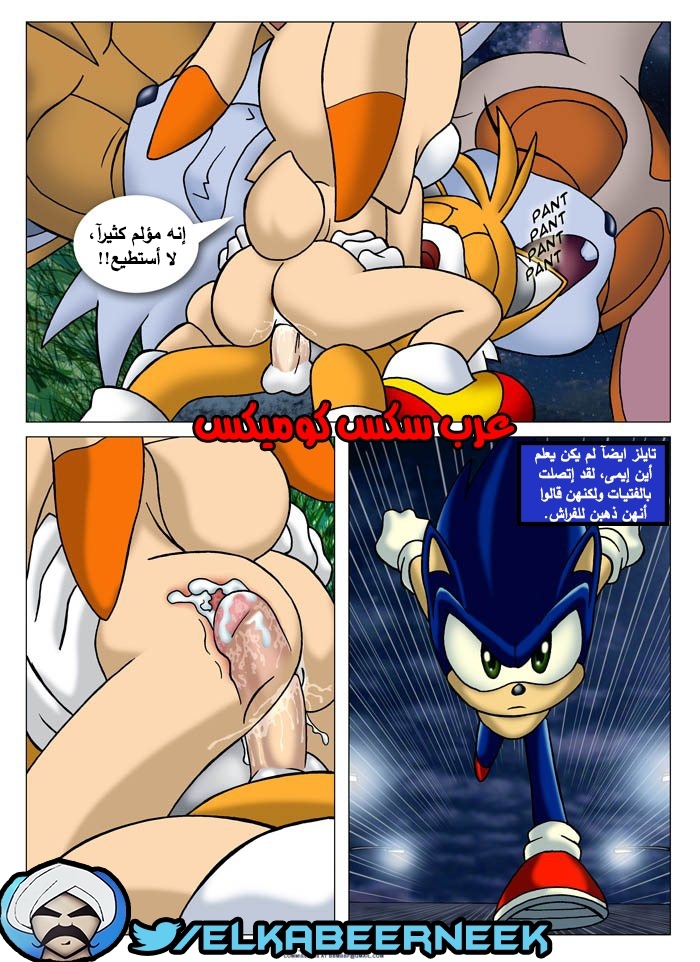 315 سونيك والبحث عن إيمى