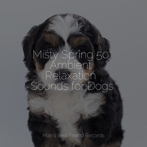 Pet Care Music Therapy - Misty Spring 50 Ambient Relaxation Sounds for Dogs - 2022