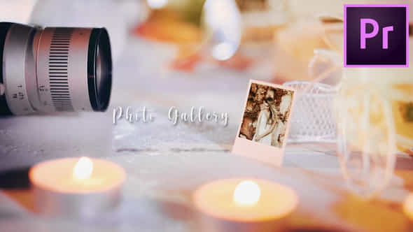 Wedding Gallery - VideoHive 31476227