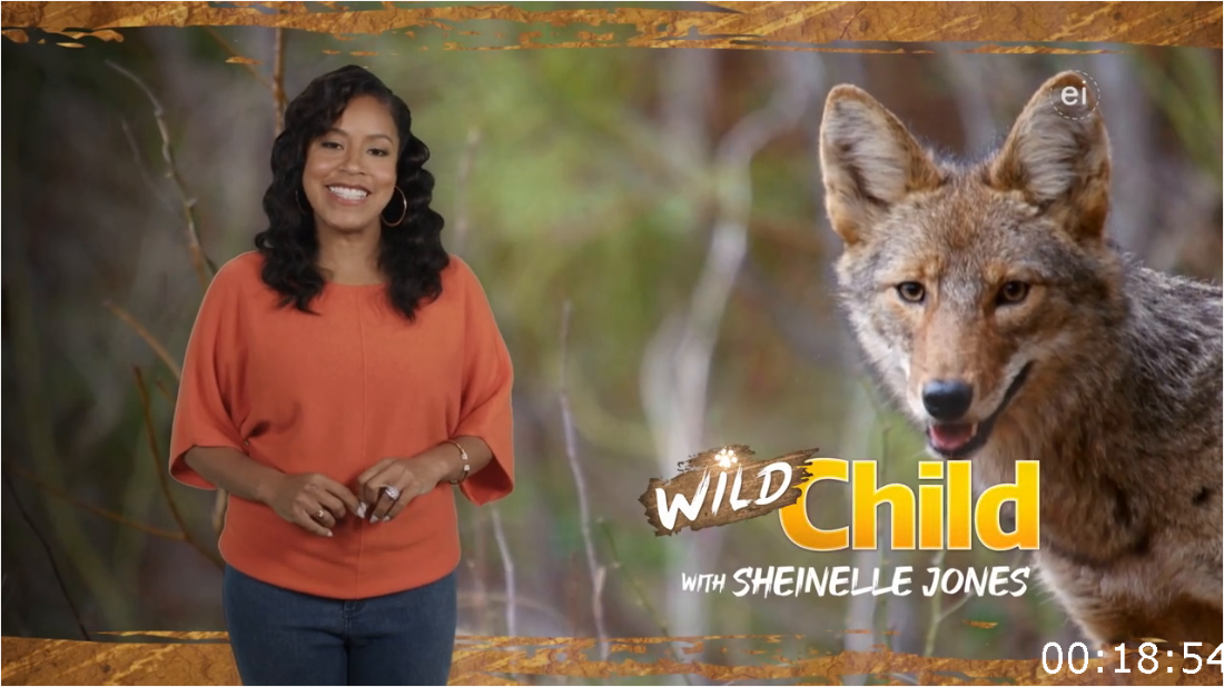 Wild Child S04E18 [1080p/720p] (H264) VLPwbN6g_o