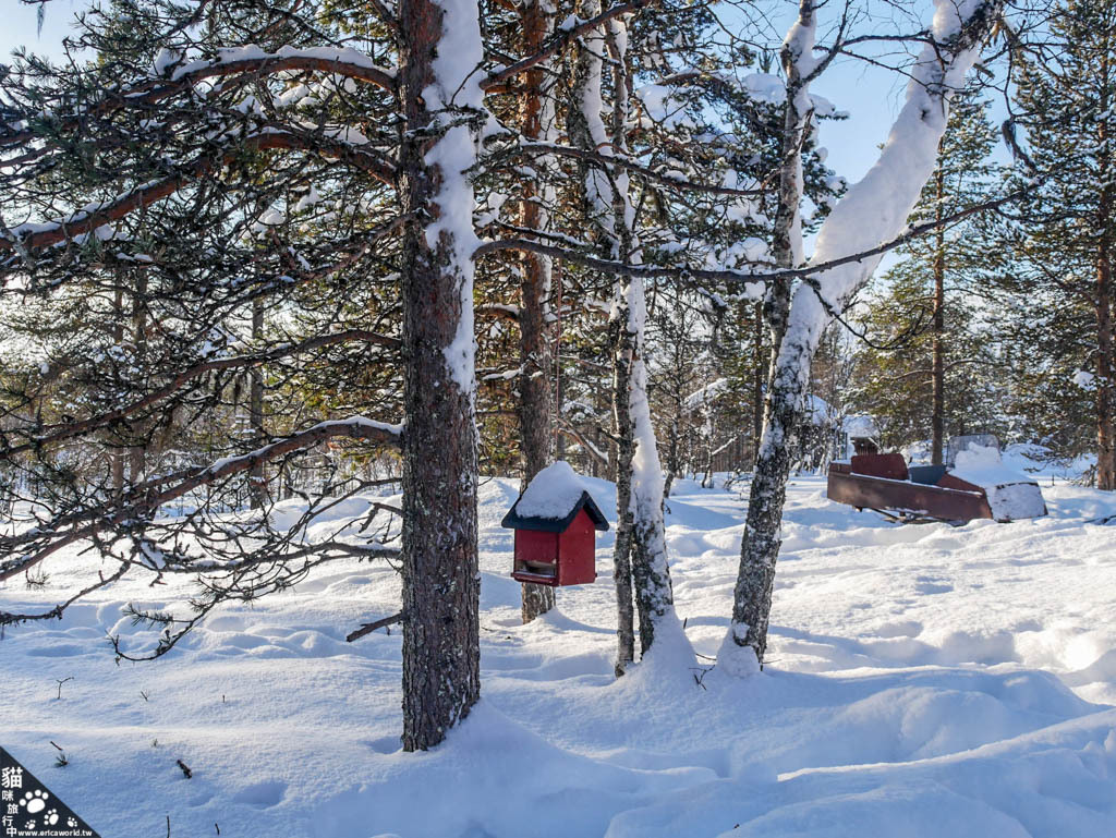 芬蘭 極光 小木屋 Polar Aurora Cabins