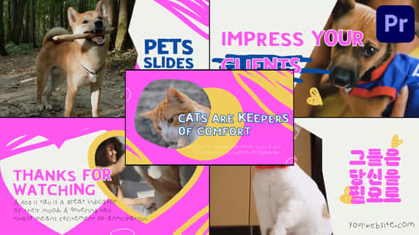 Slides Pets Premiere Pro Mogrt - VideoHive 50957696