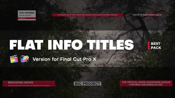 Flat Info Titles - VideoHive 45195770