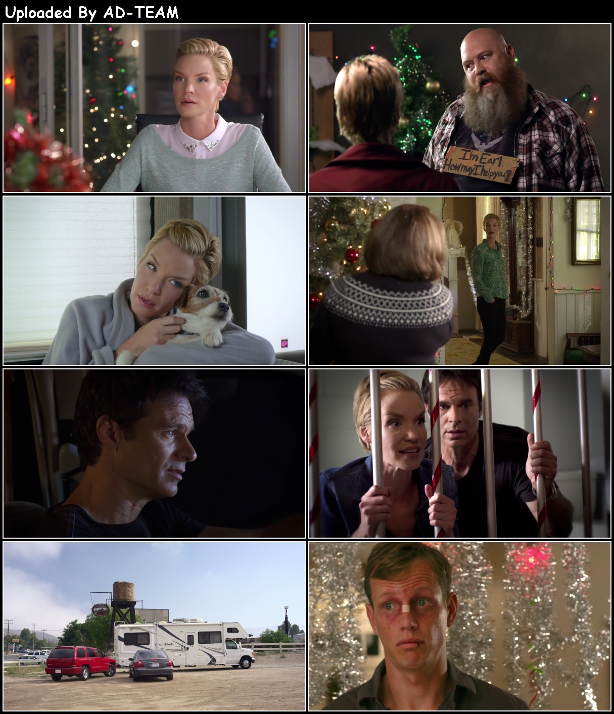 Holiday Road Trip 2013 1080p WEBRip x265-RARBG OIam7TRJ_o