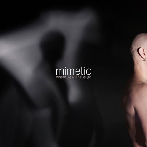 Mimetic - Where We Will Never Go - 2013