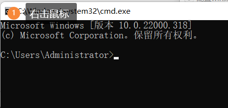 image-20211113155559411