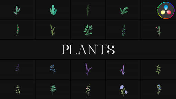 Plants For Davinci Resolve - VideoHive 51636461