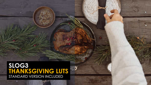 Slog3 Thanksgiving And Standard Color Luts - VideoHive 48798966