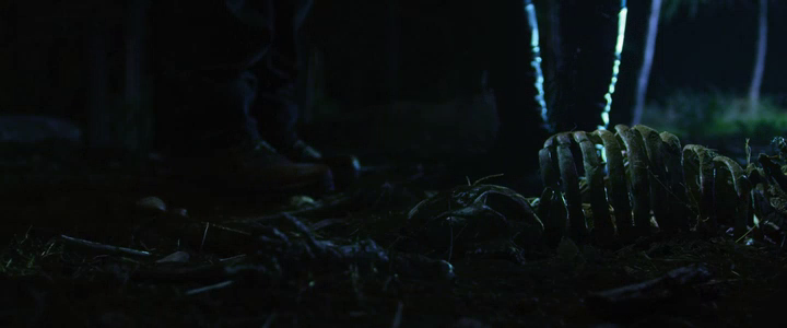 Xenophobia (2019) HDRip XviD AC3-EVO Xenophobia (2019) HDRip XviD AC3-EVO