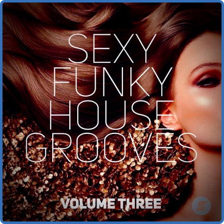 Various Artists - Sexy Funky House Grooves Volume Three (2022)