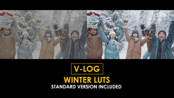 Vlog Winter And Standard Luts - VideoHive 51363745