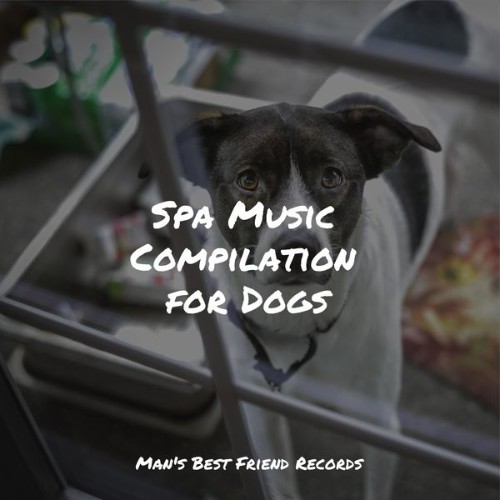 Pet Care Club - Spa Music Compilation for Dogs - 2022