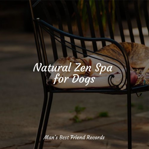 Dog Music - Natural Zen Spa for Dogs - 2022