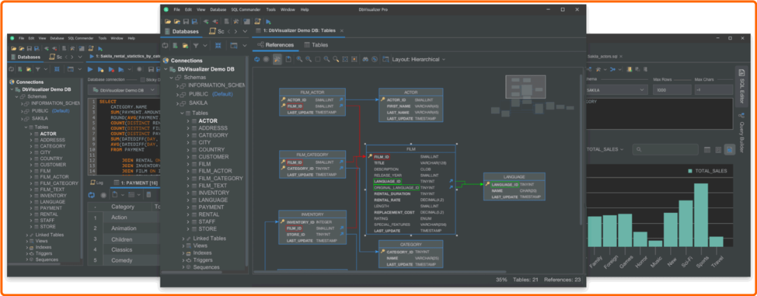 DbVisualizer Pro 24.3 (x64)