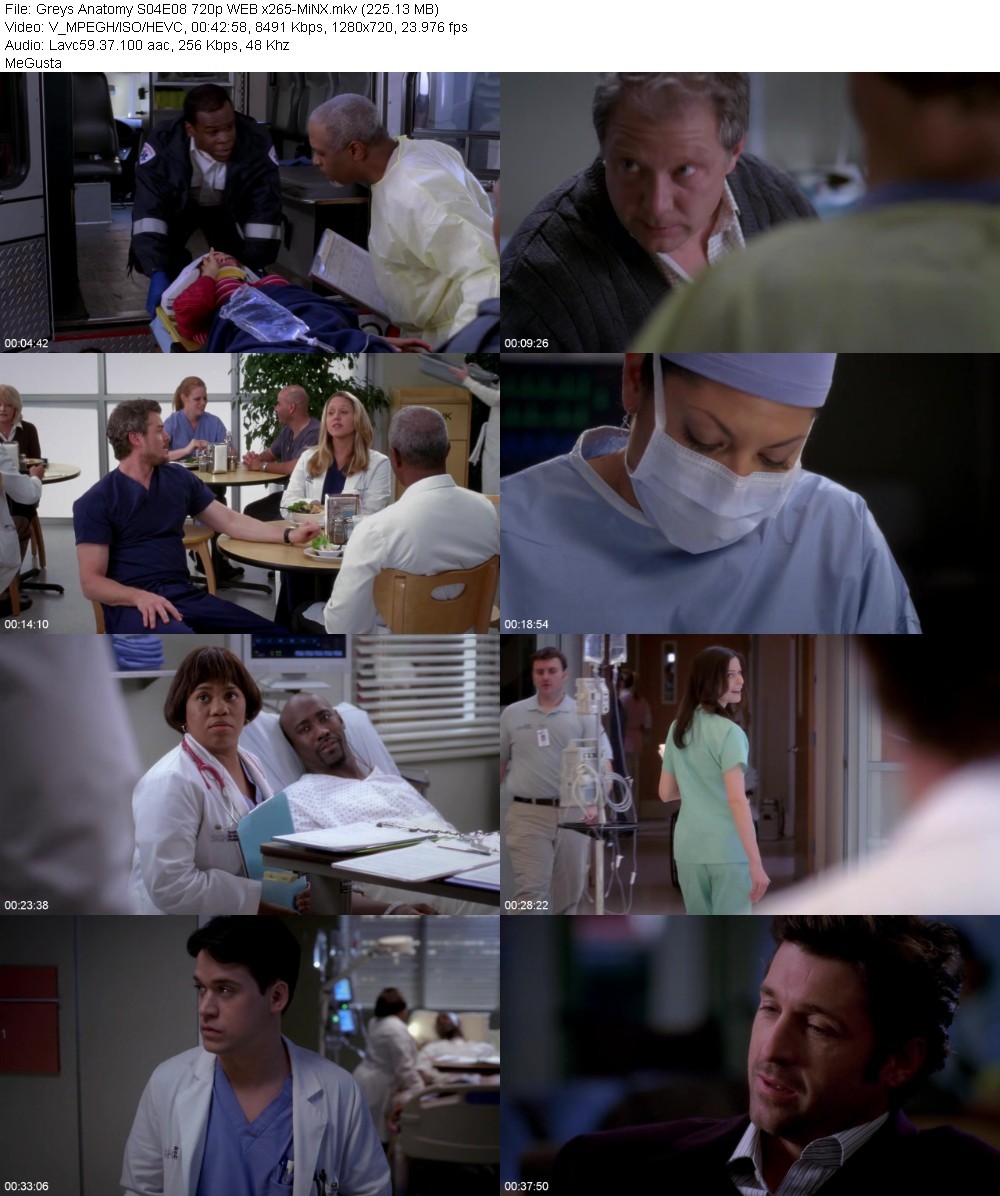 Greys Anatomy S04E08 720p WEB x265-MiNX