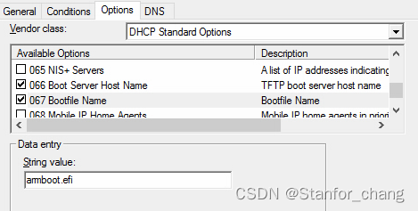 DHCP OPTION SET