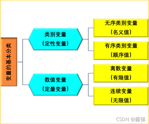 变量的基本分类
