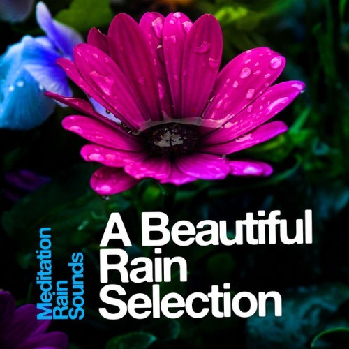 Meditation Rain Sounds - A Beautiful Rain Selection - 2019